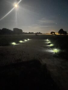 Blick aus kleinem Bad