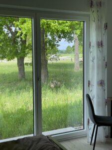 Schlafzimmer Nord - Blick zum Nachbarn